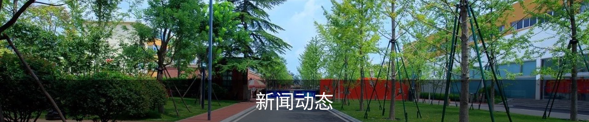 新闻动态