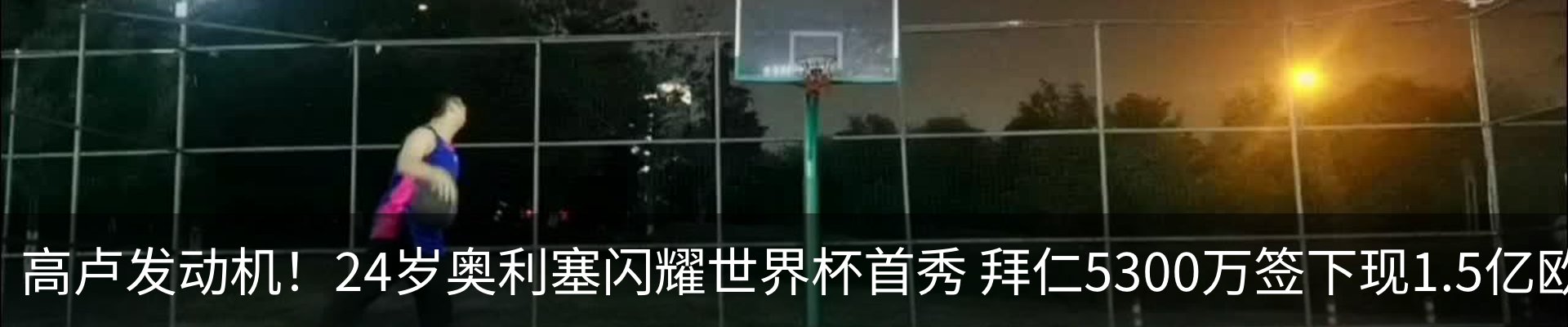 新闻动态